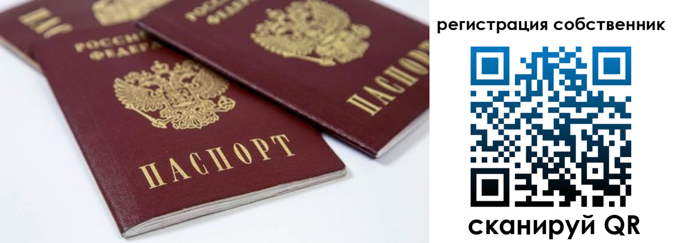 прописка для школы в Батайске